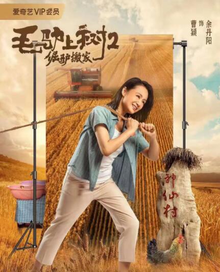 完结完整版观看