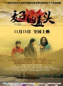 BD国语电影免费在线