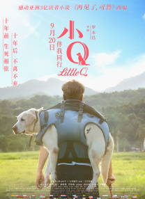 完结高清影视